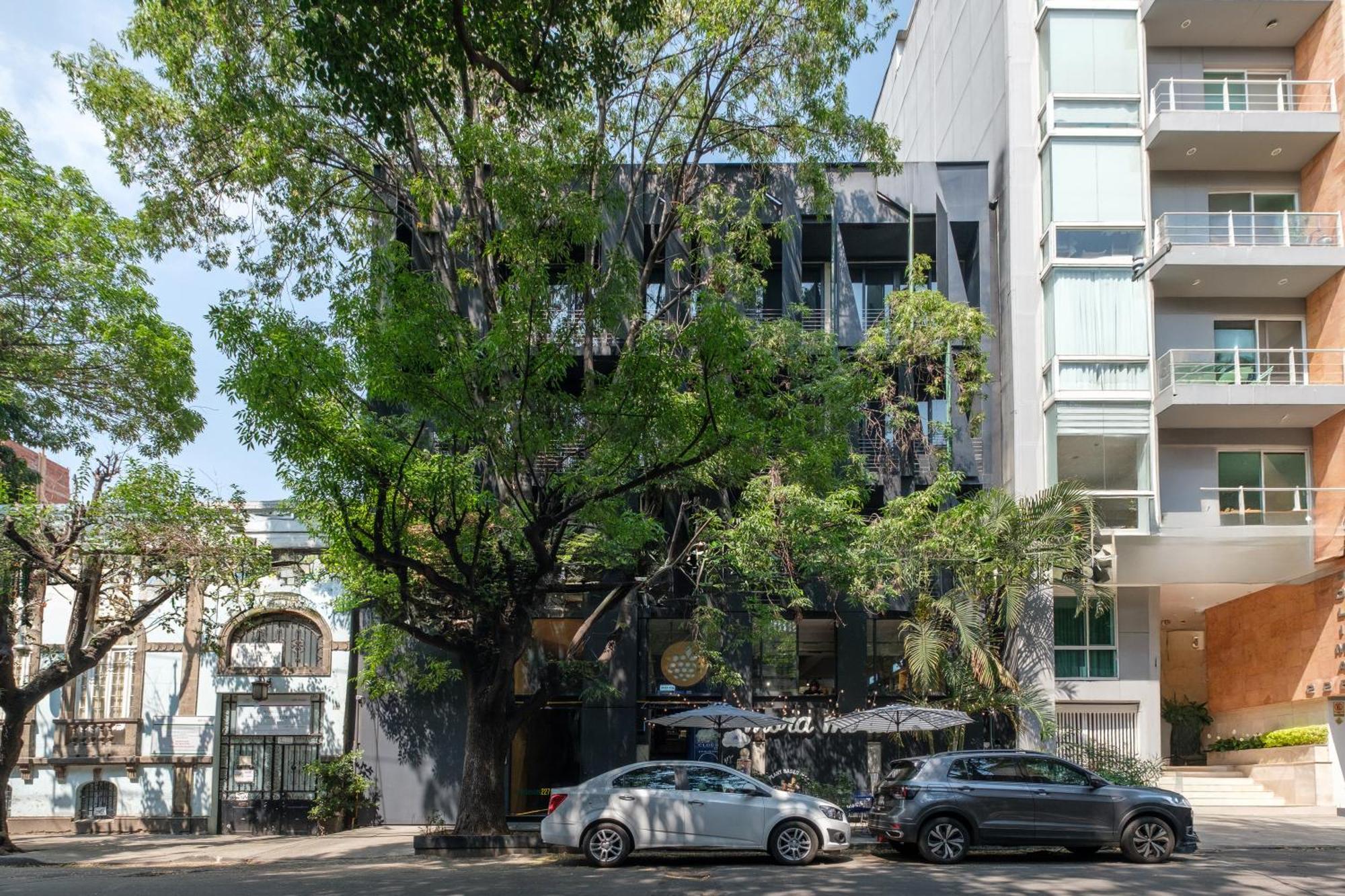 Boga Mexico City By Lumina מראה חיצוני תמונה